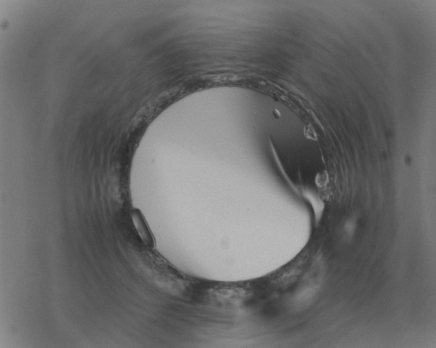 X0000077390512200611101758