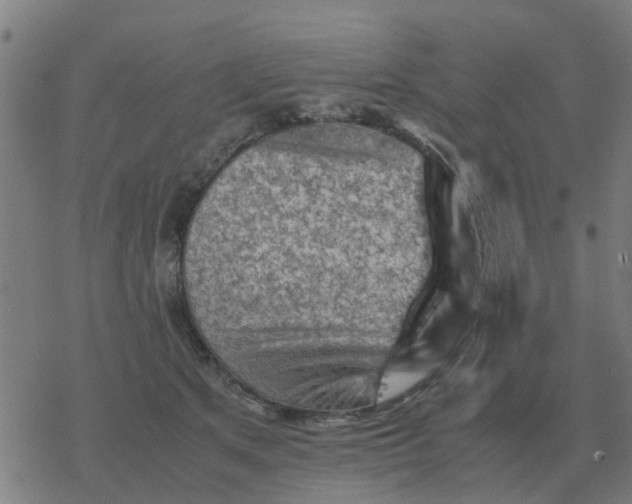 X0000077390513200611101758