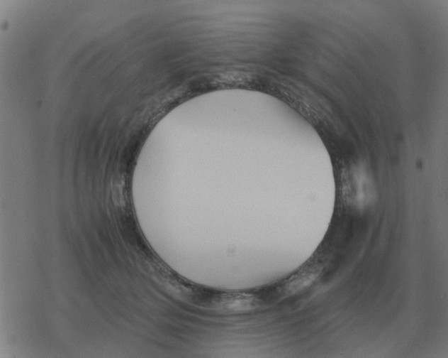 X0000077390514200611101758