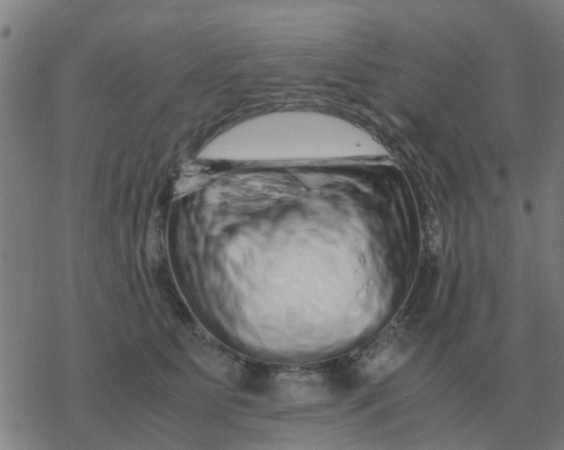 X0000077390515200611101758