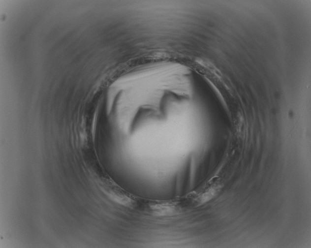 X0000077390516200611101758