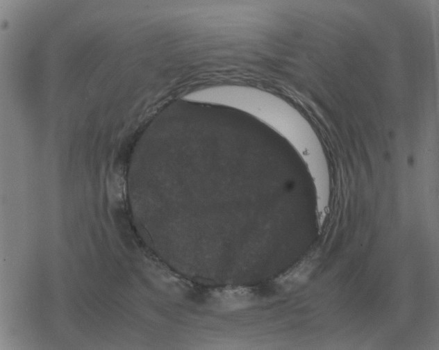 X0000077390517200611101758