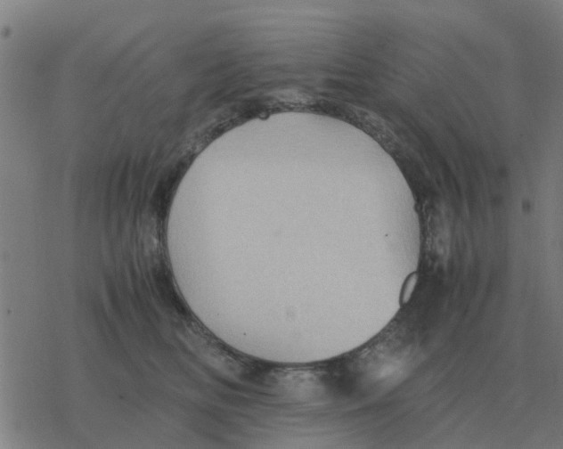 X0000077390518200611101758