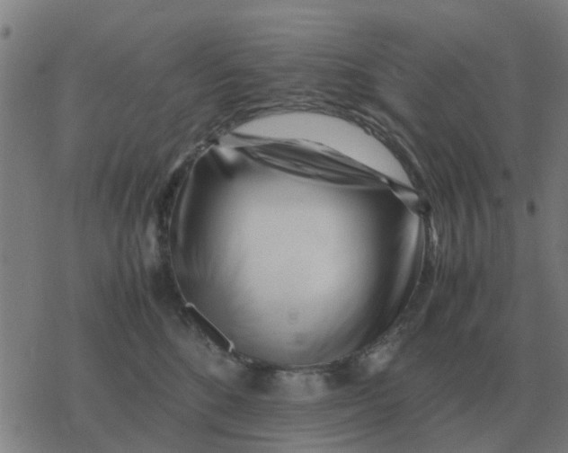 X0000077390520200611101757