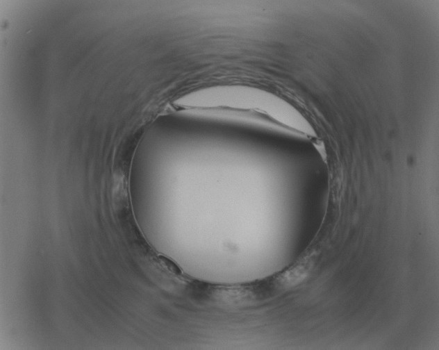 X0000077390521200611101757