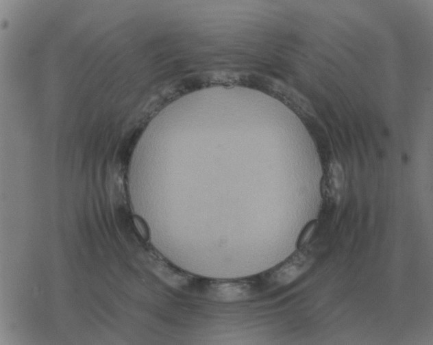 X0000077390522200611101757