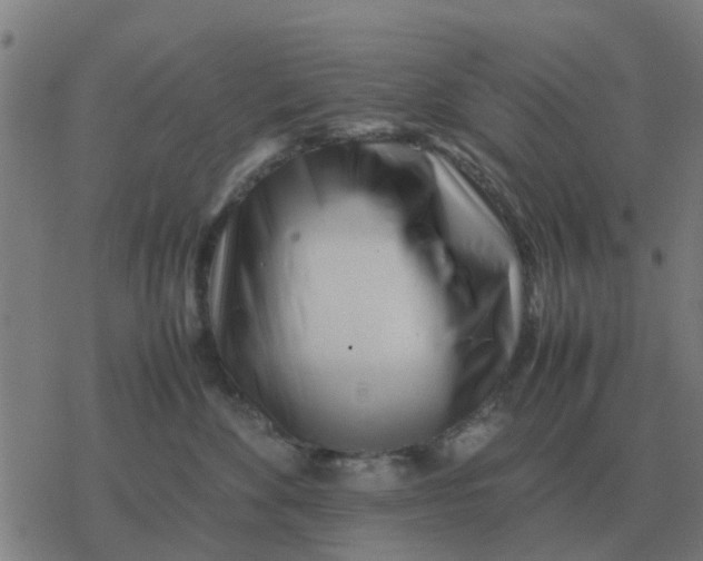 X0000077390524200611101757