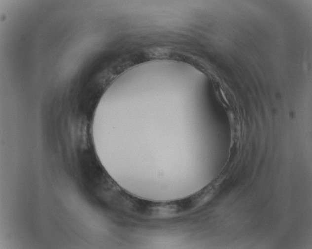 X0000077390525200611101757