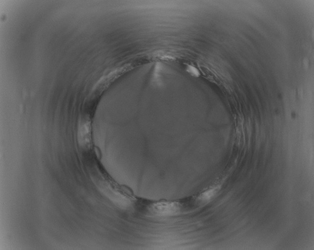 X0000077390526200611101757