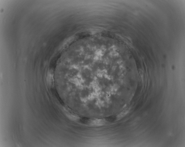 X0000077390527200611101757