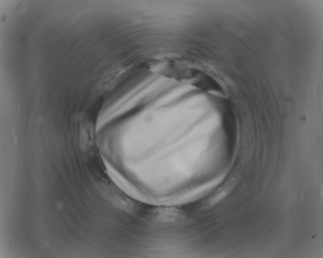 X0000077390528200611101757