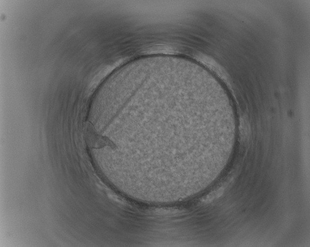 X0000077390529200611101757