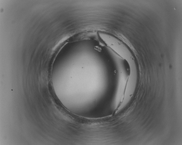 X0000077390530200611101757