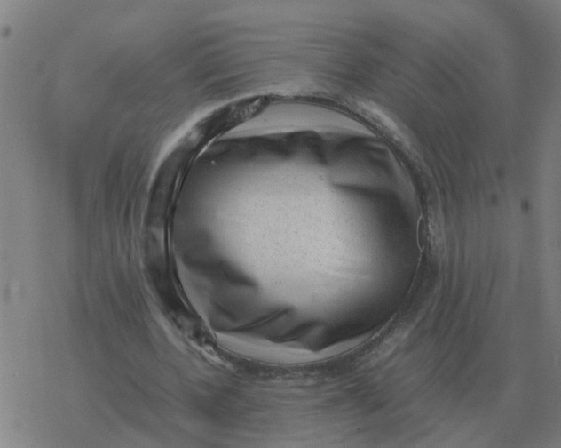 X0000077390532200611101757