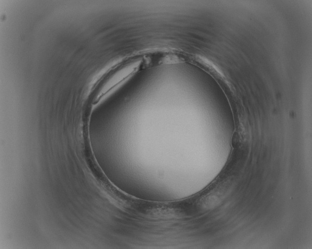 X0000077390535200611101757