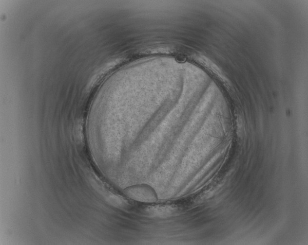 X0000077390537200611101757