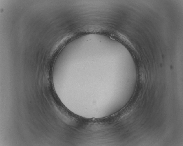 X0000077390538200611101757