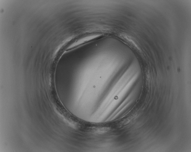 X0000077390539200611101757