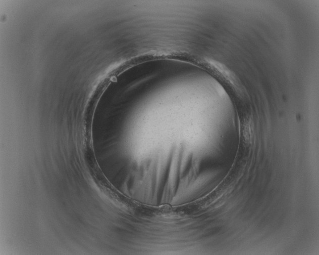 X0000077390540200611101757