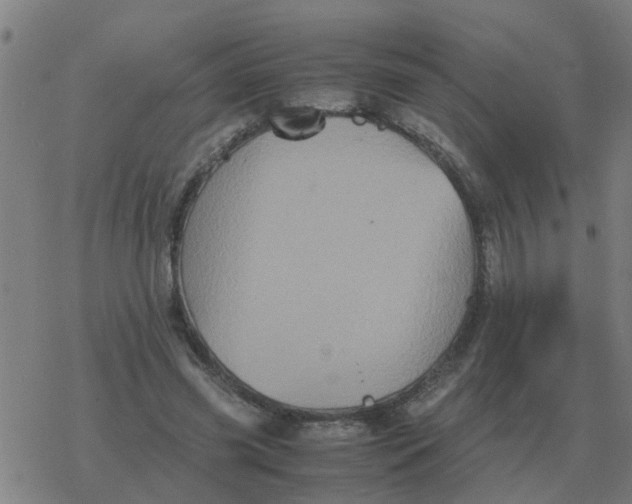 X0000077390541200611101757