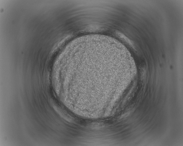 X0000077390542200611101757