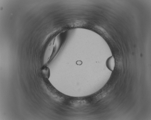 X0000077390543200611101757