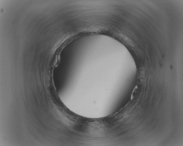 X0000077390544200611101757