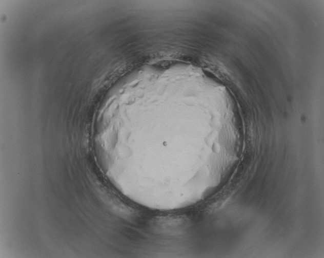 X0000077390545200611101757