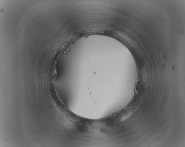 X0000077390546200611101757