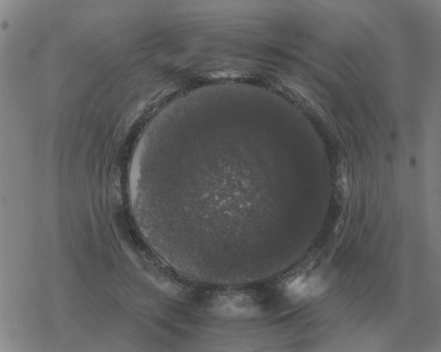 X0000077390547200611101757