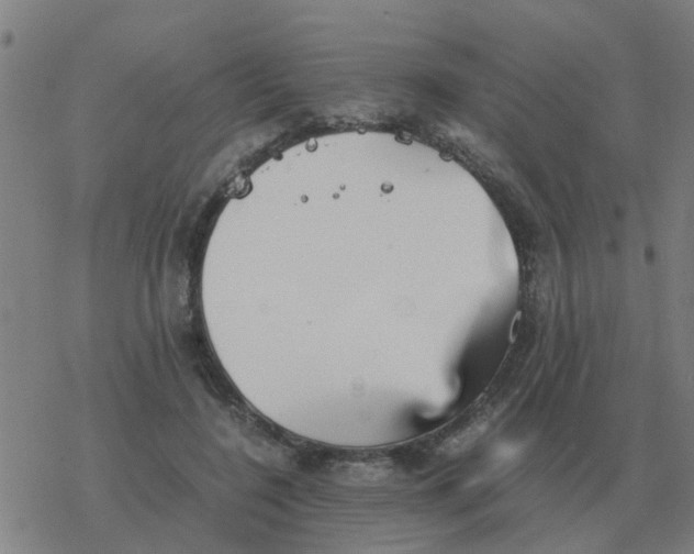 X0000077390548200611101757