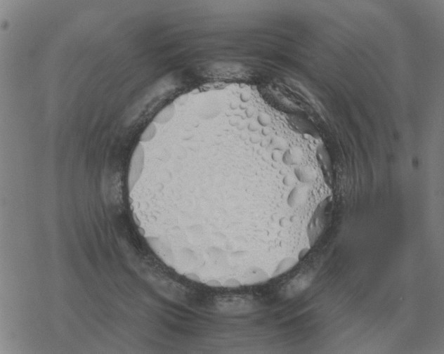 X0000077390549200611101757