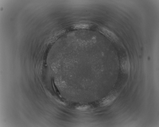 X0000077390551200611101757