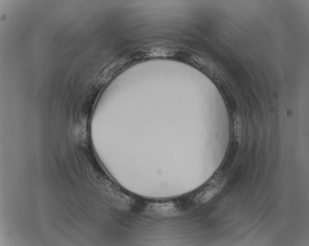 X0000077390554200611101757