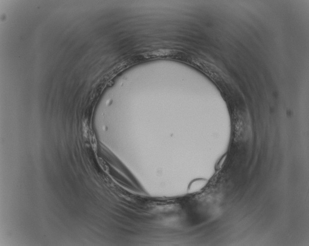 X0000077390555200611101757