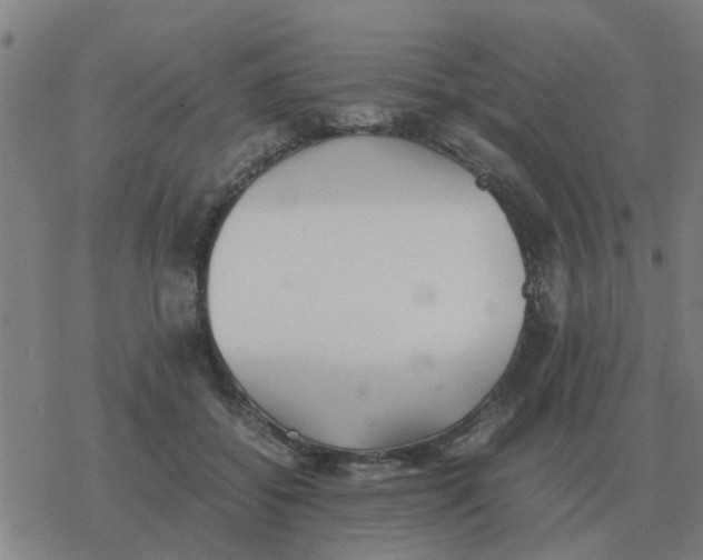 X0000077390556200611101757