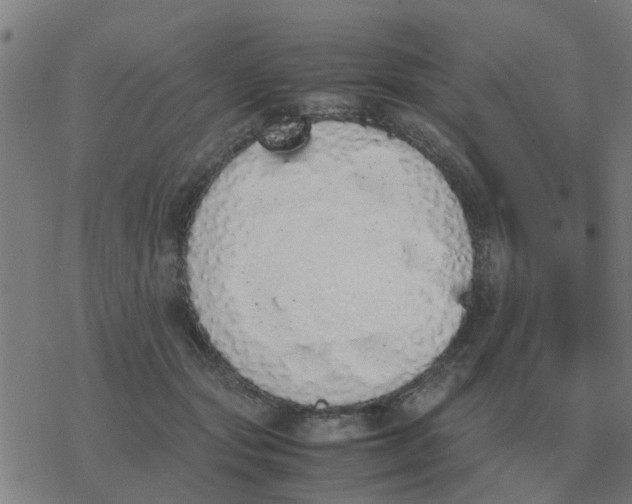 X0000077390557200611101757