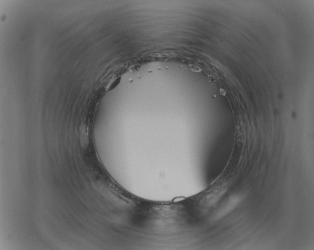 X0000077390558200611101757