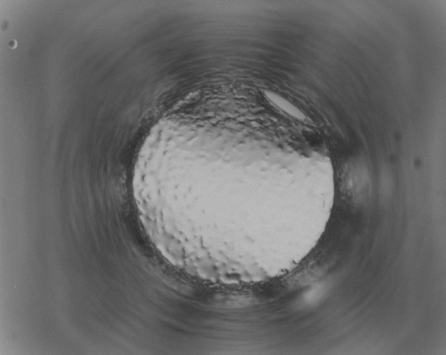 X0000077390559200611101757