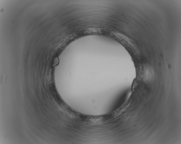 X0000077390560200611101757