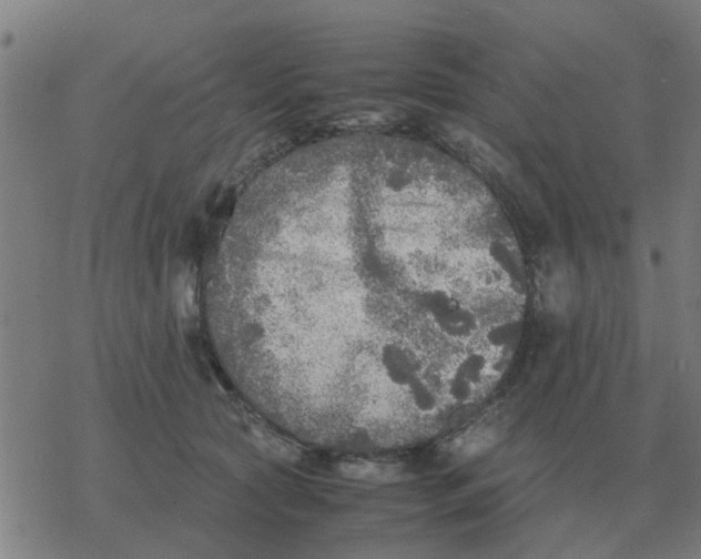 X0000077390561200611101757