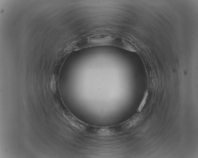 X0000077390562200611101757