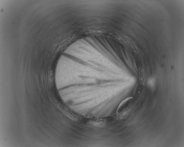 X0000077390563200611101757