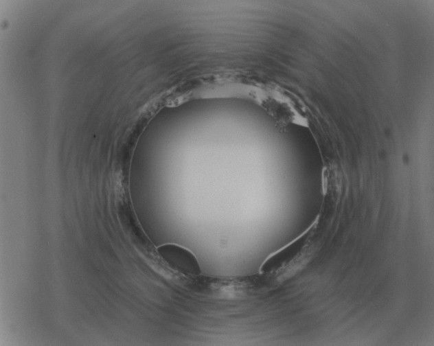 X0000077390564200611101757