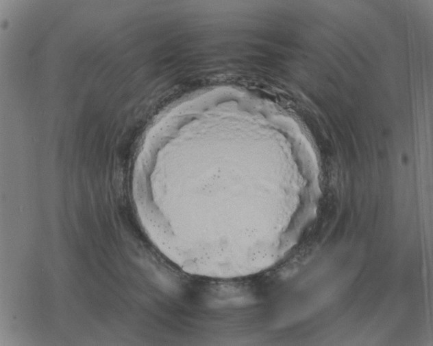 X0000077390565200611101757