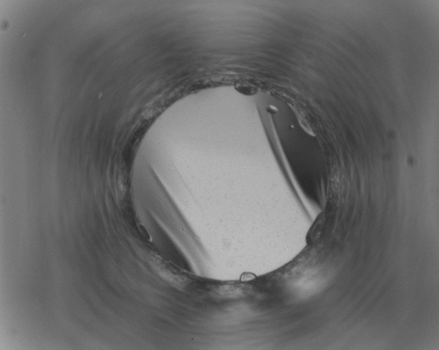 X0000077390566200611101757