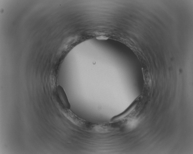 X0000077390568200611101757