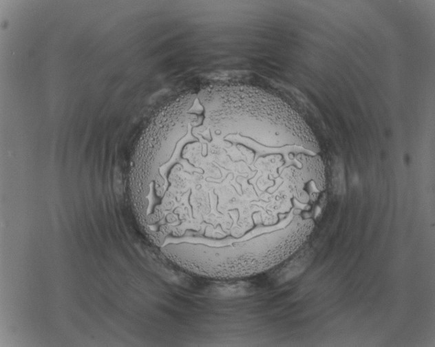 X0000077390569200611101757