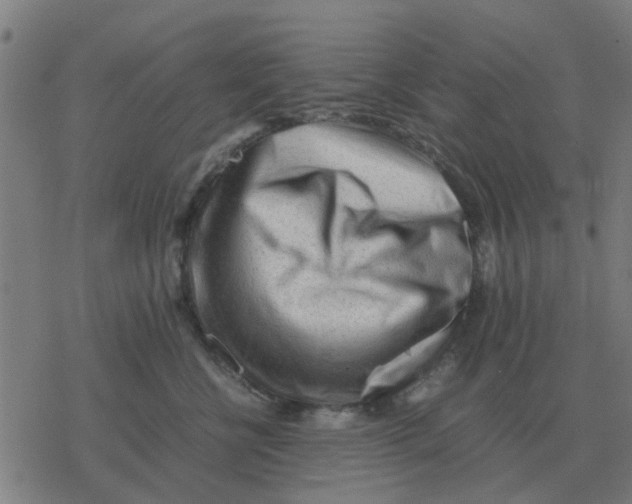 X0000077390570200611101757