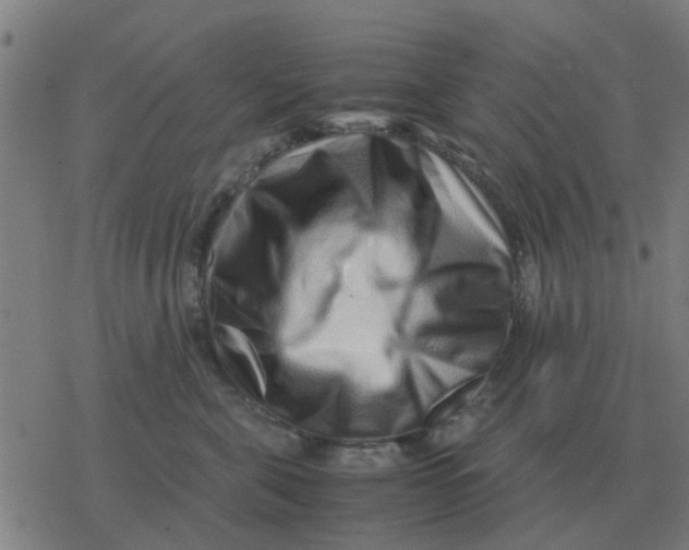 X0000077390571200611101757